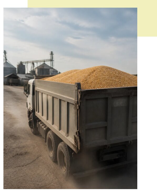 Перевозка сельхозпродукции навалом в Гудермес по цене от 3074 р. | Агросервис-Гдр